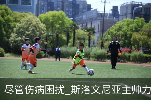 尽管伤病困扰 斯洛文尼亚主帅力求展现团队实力